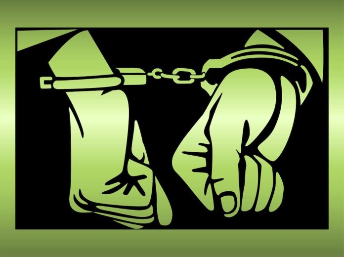 Sri Lanka suspects 46-yr-old man acted as handler of 4 Lankans arrested in India for ISIS links