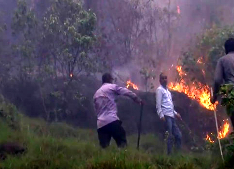 J&K | Rajouri Forest Fire Disrupts Normal Life, Locals Complain Of Suffocation J&K | Rajouri Forest Fire Disrupts Normal Life, Locals Complain Of Suffocation