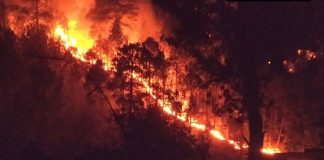 1,763 Forest Fire Incidents Affecting 4,100 Hectares Recorded In Jammu Division Over Past 3 Years