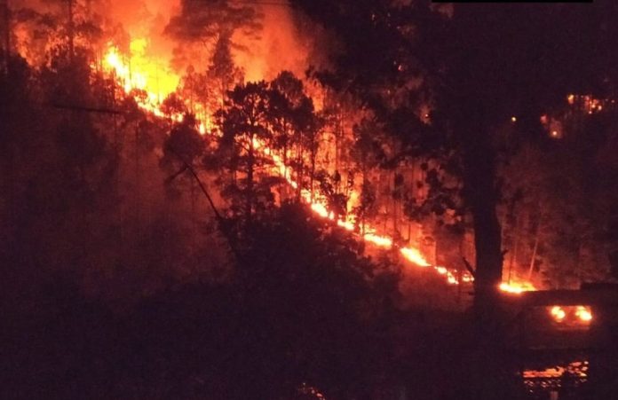 Jammu And Kashmir | Fire Engulfs Forest Areas Of Kathua, Rajouri