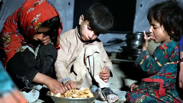 Nearly 3 out of 10 children in Afghanistan face crisis or emergency level of hunger in 2024 Nearly 3 out of 10 children in Afghanistan face crisis or emergency level of hunger in 2024