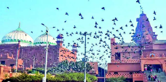 Shahi Idgah: Places of Worship Act only applicable in 'undisputed' structures, Hindu side tells HC