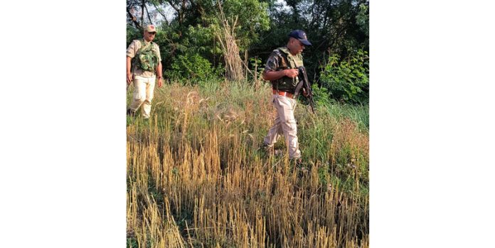 Security personnel conducting searches in border area of Samba district after thwarted drone attempt. Security personnel conducting searches in border area of Samba district after thwarted drone attempt.
