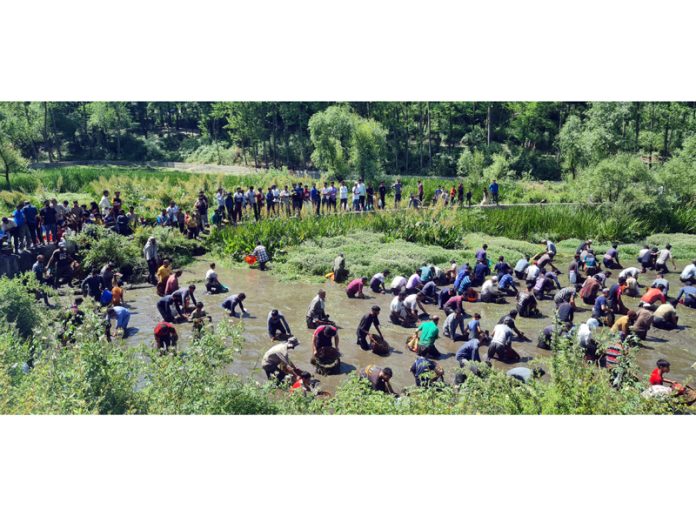 Local communities taking a day off from work to weedout and desilt the Panzath Nag in South Kashmir. -Excelsior/Sajad Dar