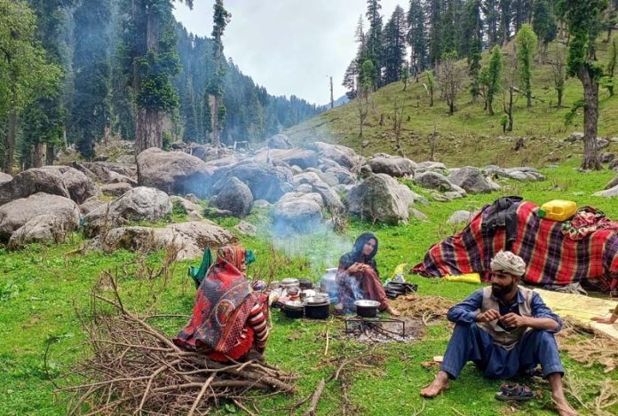 Nomadic people perform daily activities at a higher altitude meadow in Doda district.