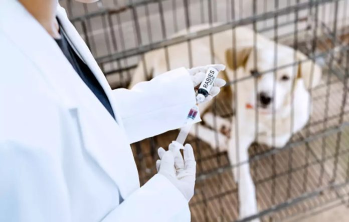 Jammu And Kashmir | Govt Declares Human Rabies A Notifiable Disease Jammu And Kashmir | Govt Declares Human Rabies A Notifiable Disease