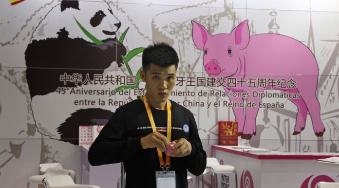 China targets Europe's farmers, and not its automakers, in response to EU tariffs on electric cars China targets Europe's farmers, and not its automakers, in response to EU tariffs on electric cars