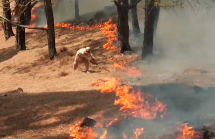 Jammu And Kashmir | Fire Engulfs Forest And Urban Areas Across Six Districts