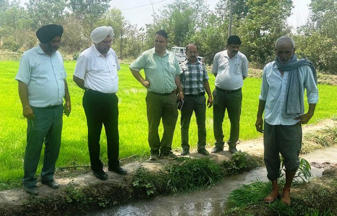 Director Agri A S Reen during visit to SM Farm Chinore.