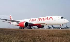 Air India to launch premium economy class on select domestic routes from July Air India to launch premium economy class on select domestic routes from July