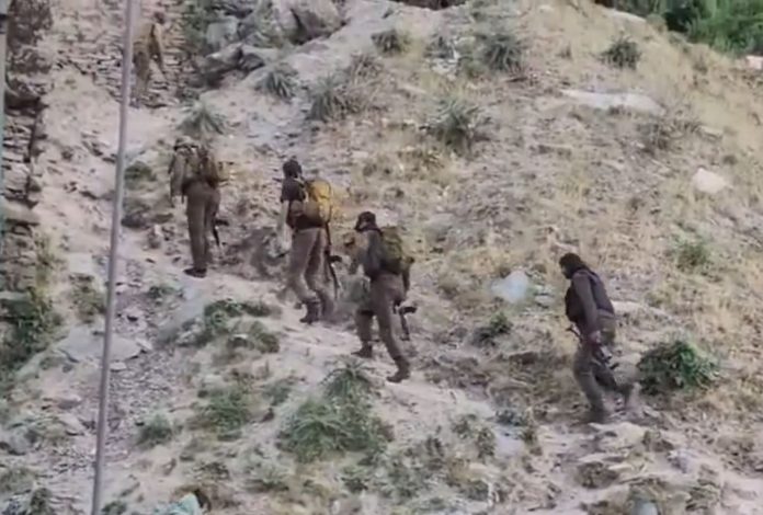 Gunshots Heard In J&K's Poonch, Search Operation Underway