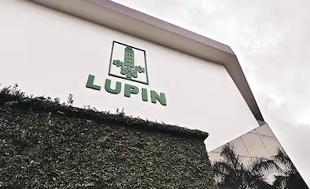 lupin