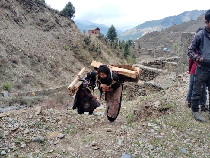 Womenfolk carrying firewood in village Thanahala located on Bhaderwah-Chamba border. -Excelsior/Tilak Raj