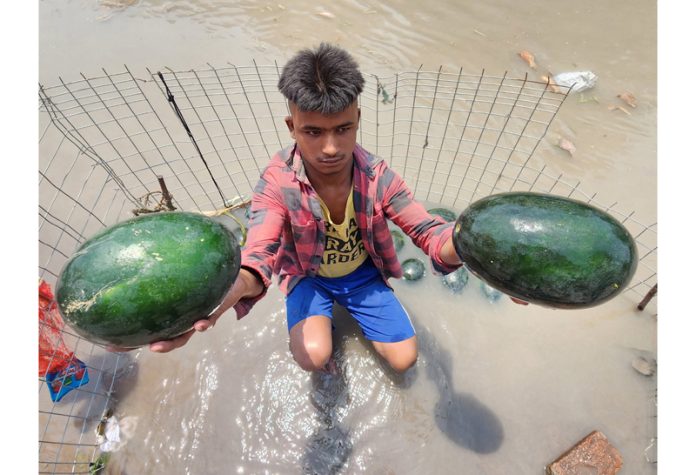 A boy selling watermelons on the bank of Ranbir Canal on a hot summer day in Jammu. —Excelsior/Rakesh