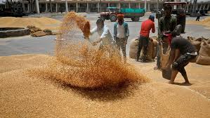 Govt imposes stock limits on wheat to check hoarding, price rise Govt imposes stock limits on wheat to check hoarding, price rise
