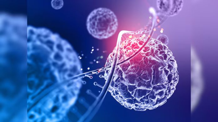 Study Finds Obesity-Related Cancer Cases Increasing In Both Young, Older Adults Study Finds Obesity-Related Cancer Cases Increasing In Both Young, Older Adults