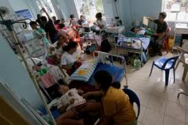 Philippines: Dengue death toll reaches 233 Philippines: Dengue death toll reaches 233