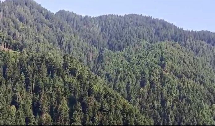 Encounter Breaks Out Between Terrorists, Security Forces In J&K’s Doda Encounter Breaks Out Between Terrorists, Security Forces In J&K’s Doda