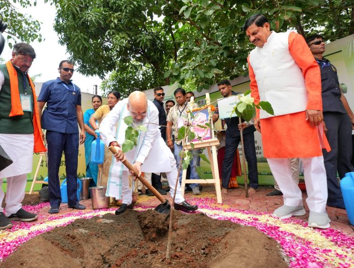 PM's 'Ek Ped Maa Ke Naam' Apt Reply To Climate Change: Shah At Mega Sapling Plantation Drive PM's 'Ek Ped Maa Ke Naam' Apt Reply To Climate Change: Shah At Mega Sapling Plantation Drive