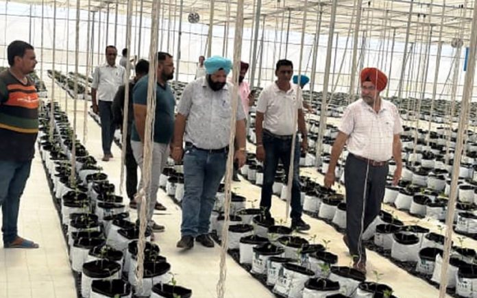 Director Agriculture Jammu, Arvinder Singh Reen alongwith others reviewing a project at Samba.