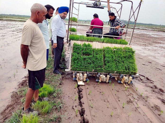 Director Agriculture, Arvinder Singh Reen during visit to Seed Multiplication Farm at Chinore. Director Agriculture, Arvinder Singh Reen during visit to Seed Multiplication Farm at Chinore.