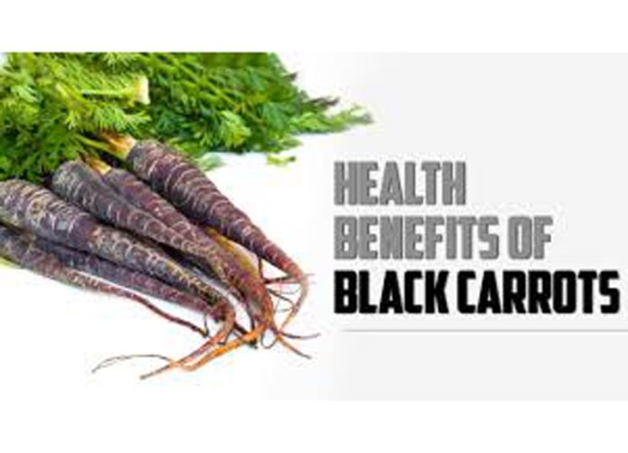 Black carrots more nutritious than others: Patanjali Research Black carrots more nutritious than others: Patanjali Research