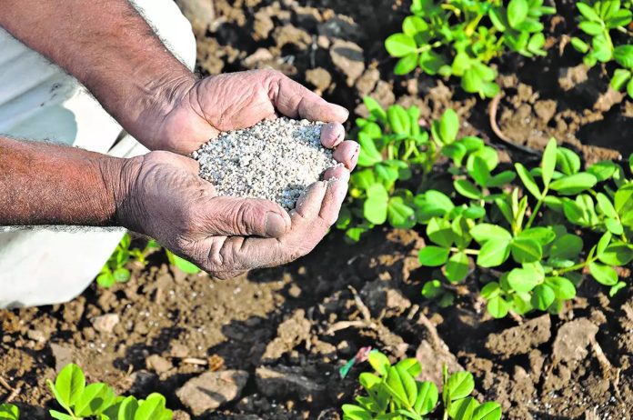 Jubilant Agro Sciences inks pact with agrochemical firm to produce agro intermediate