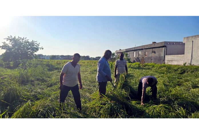Former Minister Ch Sukhnandan Kumar during visit to damaged paddy fields in Marh area on Sunday.