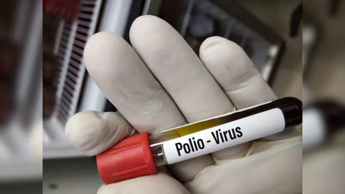 Pakistan reports 2 new polio cases, tally rises to 39 this year Pakistan reports 2 new polio cases, tally rises to 39 this year