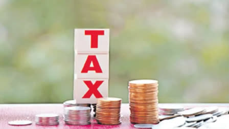 Govt to exceed FY25 direct tax collection target: CBDT chief