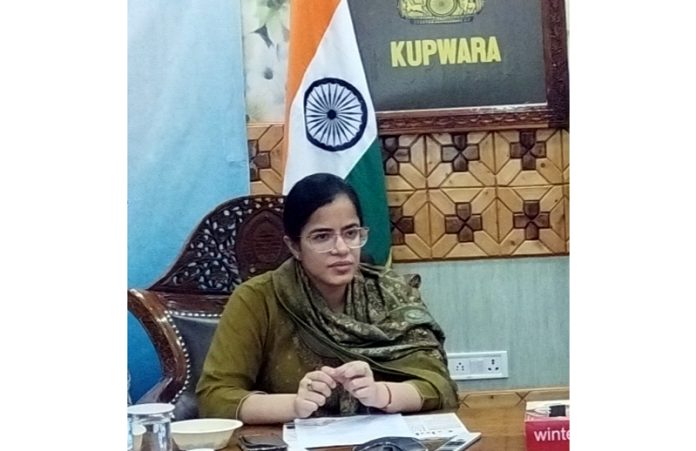 DC Kupwara chairs DLSWC meeting, reviews various mining issues