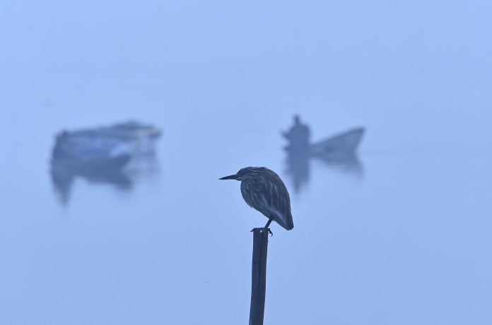 Offbeat_Srinagar_ (2)