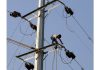 Risking life for earning livelihood: A PDD lineman works on a high tension electric pole in Jammu. -Excelsior/Rakesh