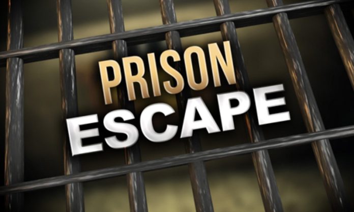 Prisoner escapes from police custody Prisoner escapes from police custody