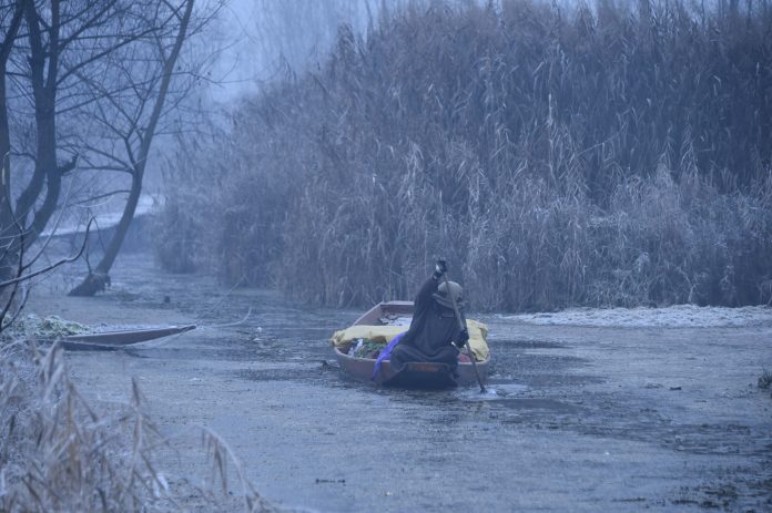 No Let-Up In Bone Chilling Cold, Falling Temperature In Kashmir, Srinagar At -7.3°C