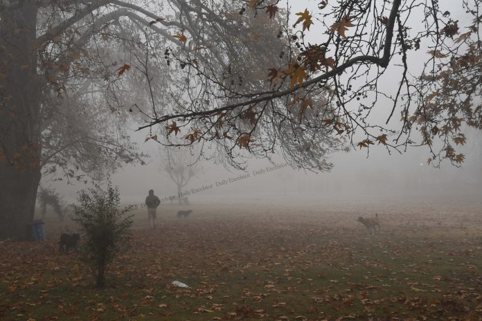 Dense Fog Envelops Parts Of Kashmir, Mercury Dips Below Freezing Point