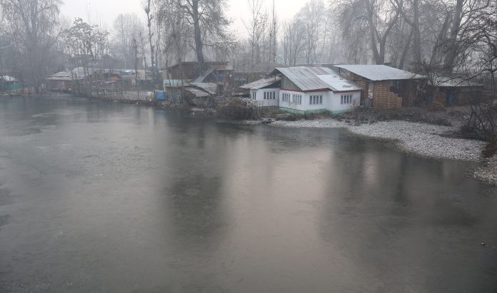 Srinagar Cold-4.6 01