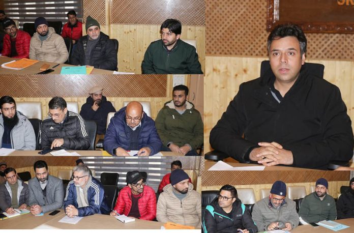 DC Srinagar reviewing progression of the heritage preservation projects