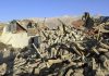 6.8-Magnitude Quake In Tibet Kills 126 People; Tremors Felt In Nepal Too