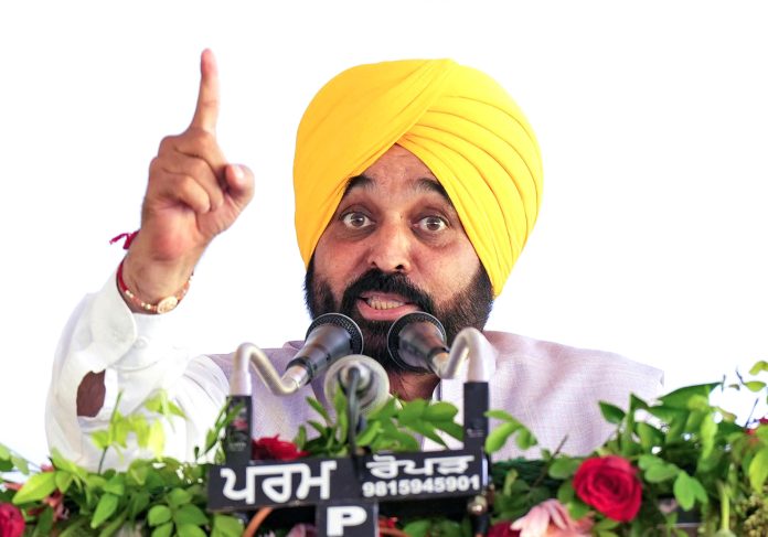 Mann Condemns Attempt To Vandalise Ambedkar's Statue In Amritsar