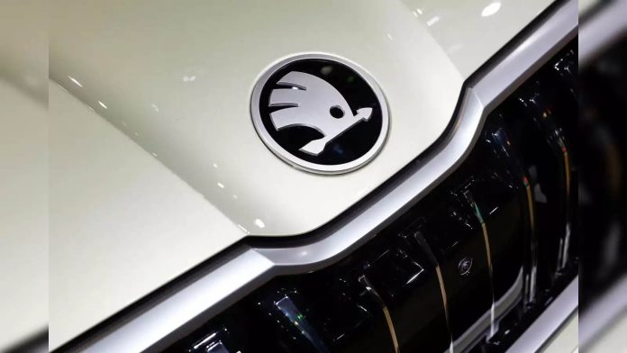 Long-term perspective on tax structure to aid product development: Skoda official