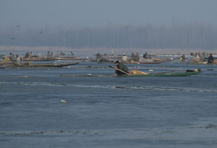 Srinagar_Anchar Lake_ (7)