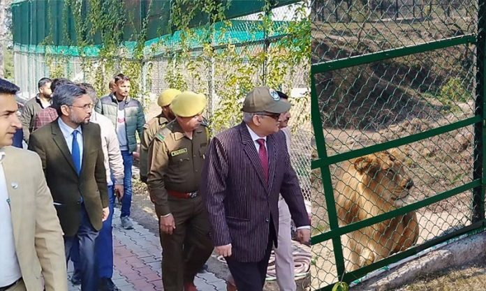 Chief Secy during visit to Jambu Zoo on Friday.