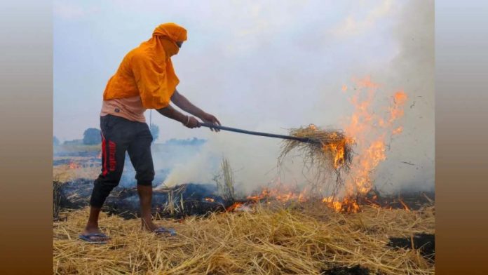 Compressed biogas offers a sustainable solution to Delhi's pollution crisis: Report Compressed biogas offers a sustainable solution to Delhi's pollution crisis: Report