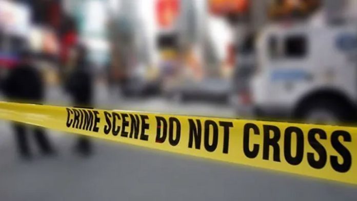 2 Indian students killed, 2 seriously injured in car crash in Ireland