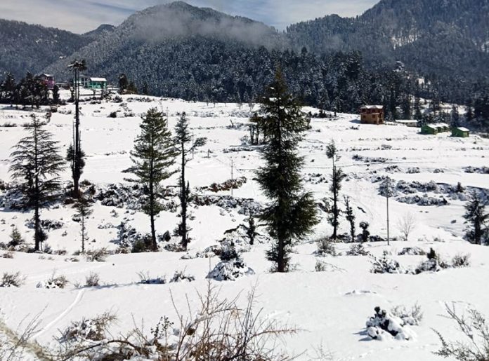 Fresh snowfall in Chinta valley of Bhaderwah. -Excelsior/Tilak Raj