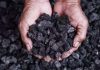 India's coal import rises  marginally in January