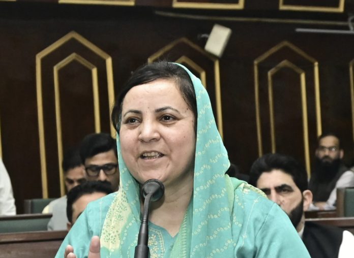 594 Lecturer Posts In 27 Disciplines Referred To JKPSC: Sakeena Itoo
