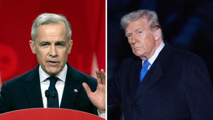 Untitled_1741567033843_1741567034173