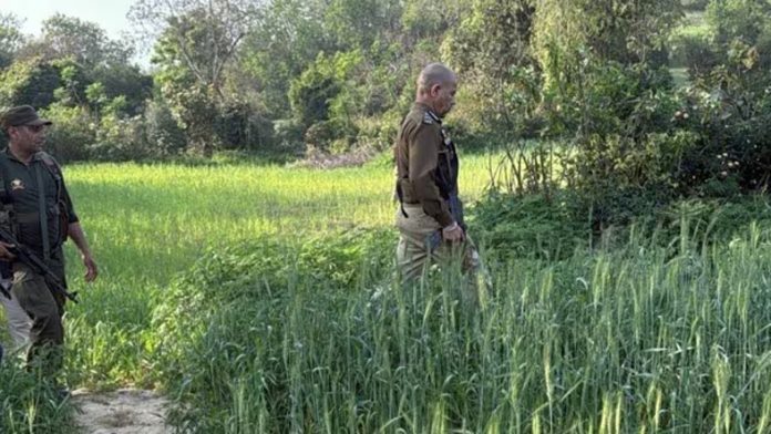 DGP Nalin Prabhat Leads Combing Operation in J&K's Kathua DGP Nalin Prabhat Leads Combing Operation in J&K's Kathua